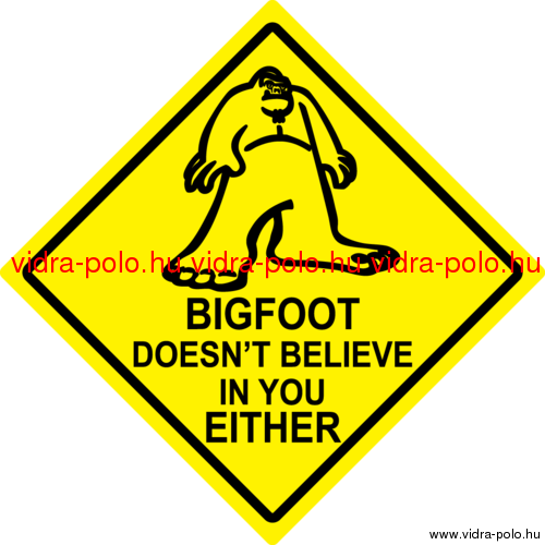BIGFOOT DOESN’T BELIEVE IN YOU EITHER