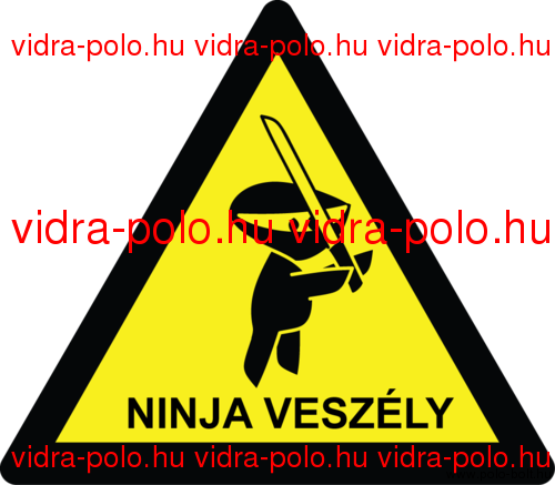 Ninja veszly