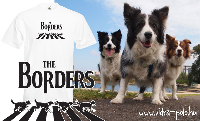 The Borders - Border collie